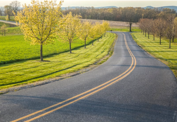 springtime drive